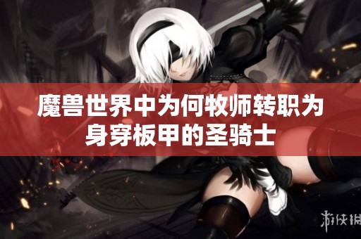 魔兽世界中为何牧师转职为身穿板甲的圣骑士