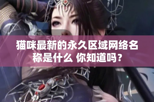 猫咪最新的永久区域网络名称是什么 你知道吗？