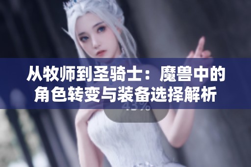 从牧师到圣骑士：魔兽中的角色转变与装备选择解析