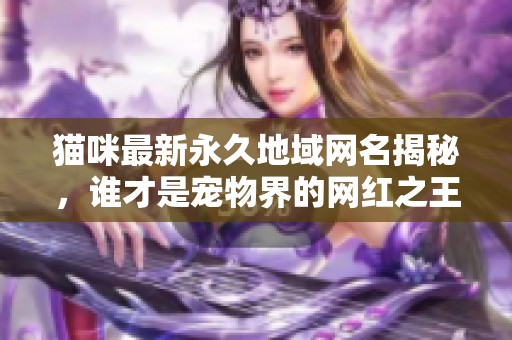 猫咪最新永久地域网名揭秘，谁才是宠物界的网红之王