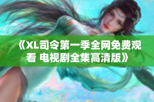 《XL司令第一季全网免费观看 电视剧全集高清版》