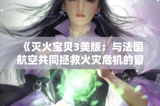 《灭火宝贝3美版：与法国航空共同拯救火灾危机的冒险》